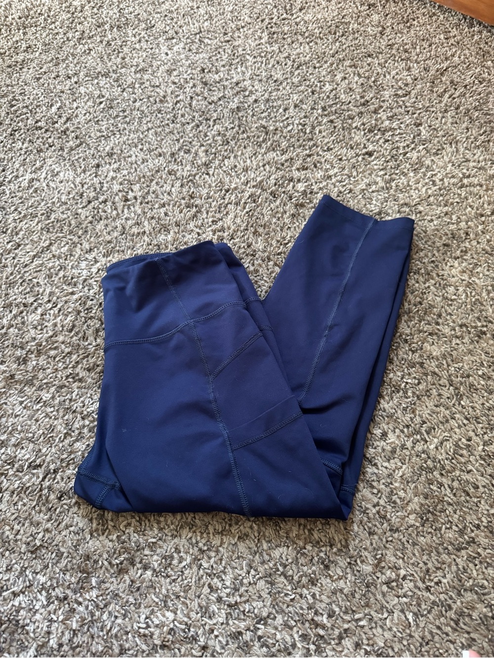Apana Navy Blue Leggings